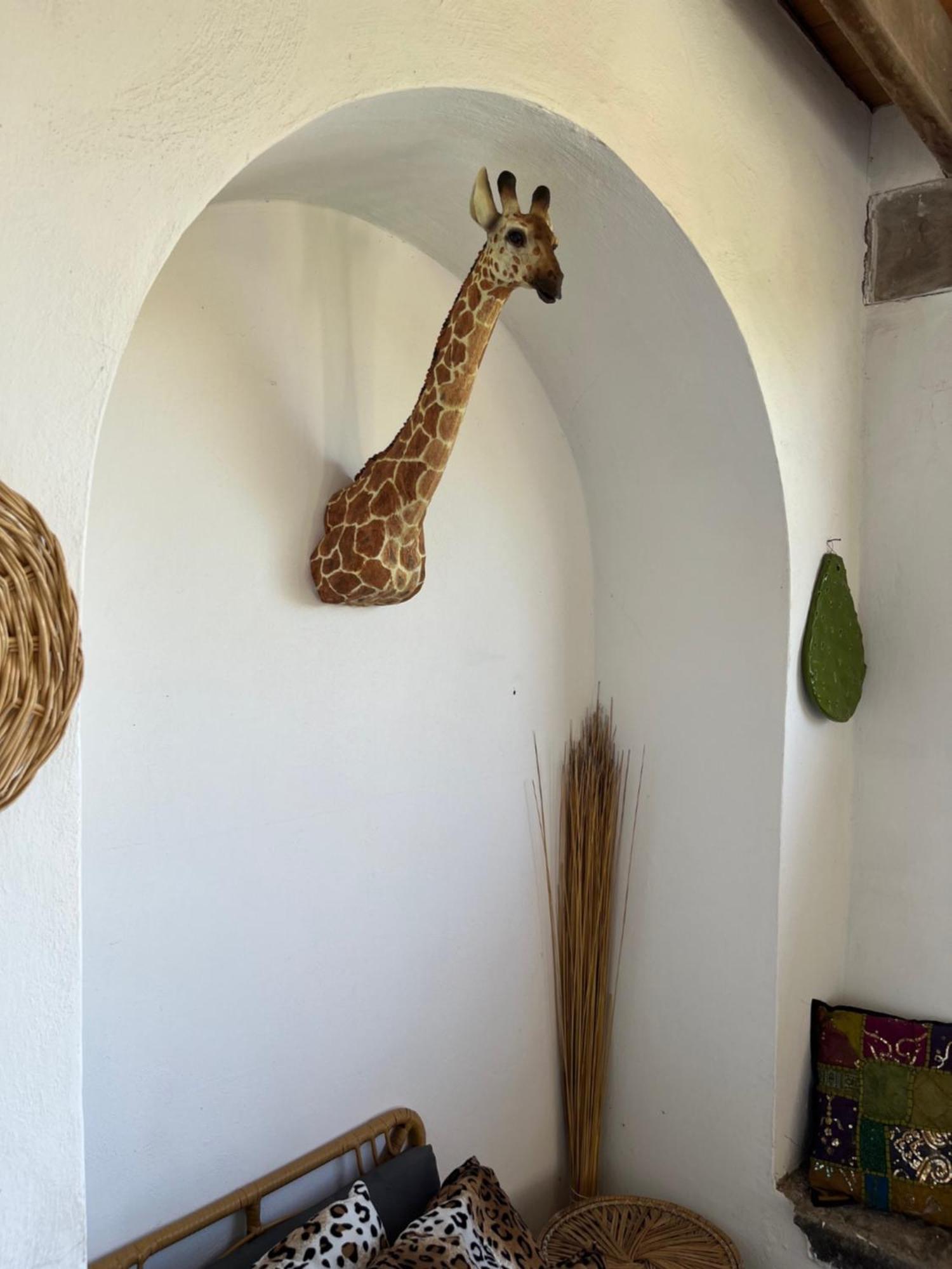 פרוסידה Villa Manni מראה חיצוני תמונה