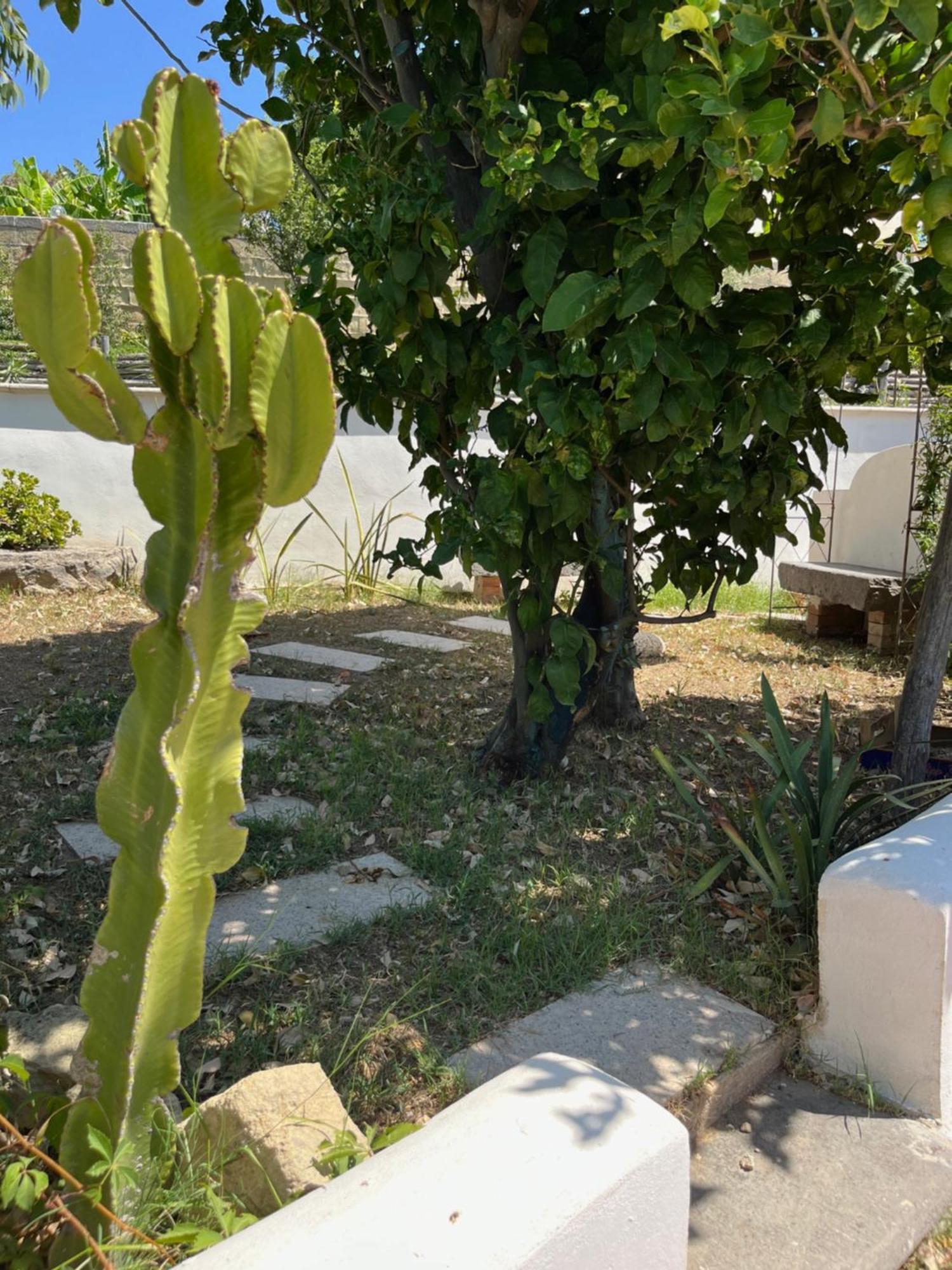 פרוסידה Villa Manni מראה חיצוני תמונה